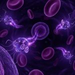 Nanotechnology in Medicine: Tiny Robots in Your Bloodstream